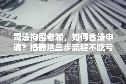 北京司法拘留老赖，如何合法申请？搞懂这三步流程不吃亏！