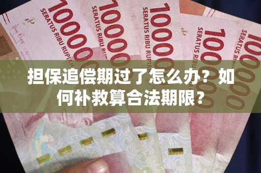 北京担保追偿期过了怎么办？如何补救算合法期限？