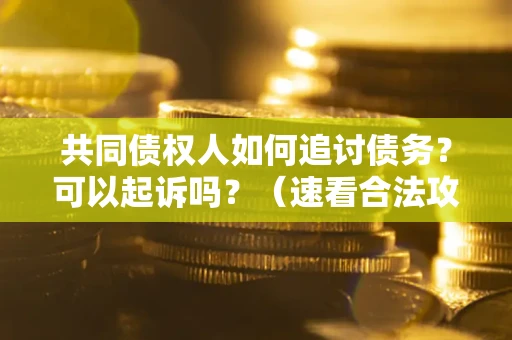 北京共同债权人如何追讨债务？可以起诉吗？（速看合法攻略）